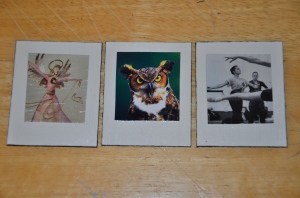 "Polaroid Film Pictures"